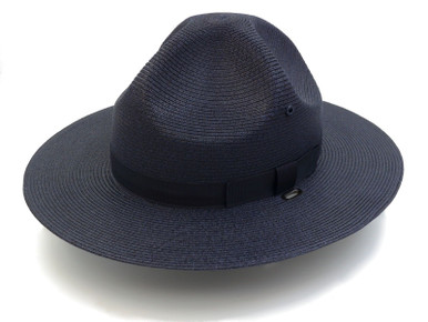blue campaign hat