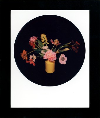 rachel-portesi-bouquet-in-yellow-vase-round-polaroid-in-frame-2-.jpg