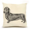 Eric & Christopher pillow - Dachsund