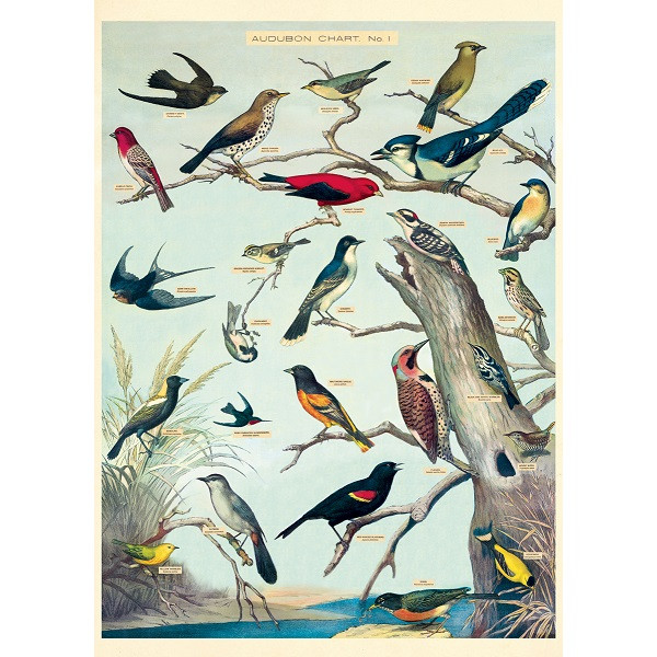 Audubon Chart No.1