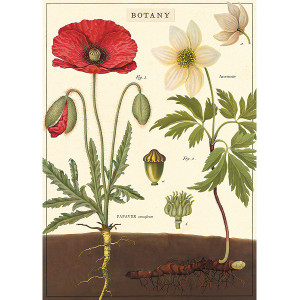 Botany