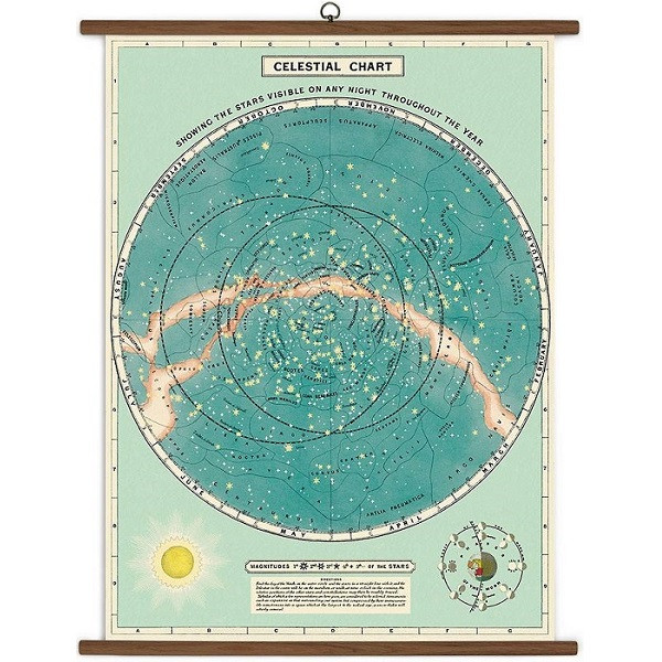 定番人気！ Co. & Cavallini - Wurr Penelope - Chart School Vintage Celestial アンティーク雑貨