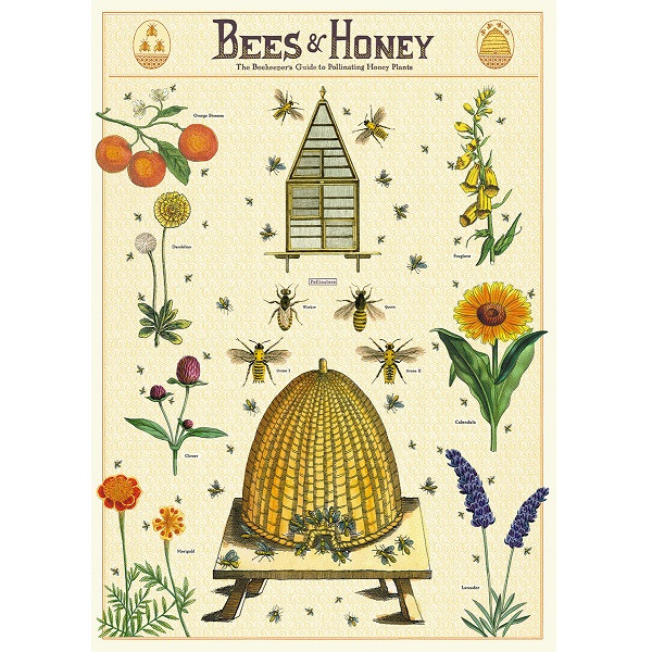 Bees and Honey 2