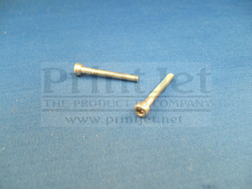 04329 Domino Screw