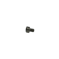 04729 Domino Screw