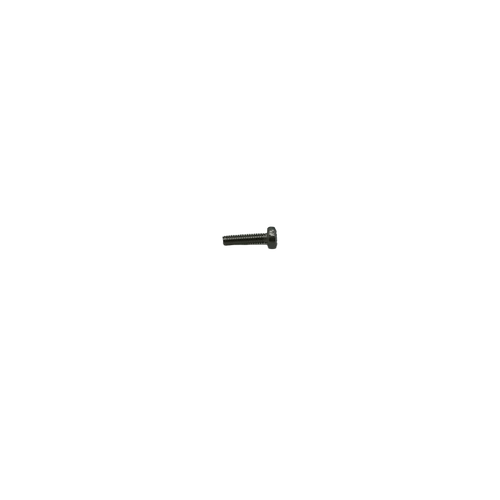 04832 Domino Screw