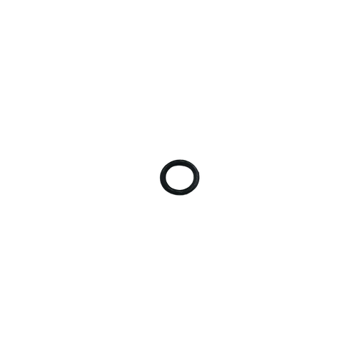 06024 Domino O-Ring