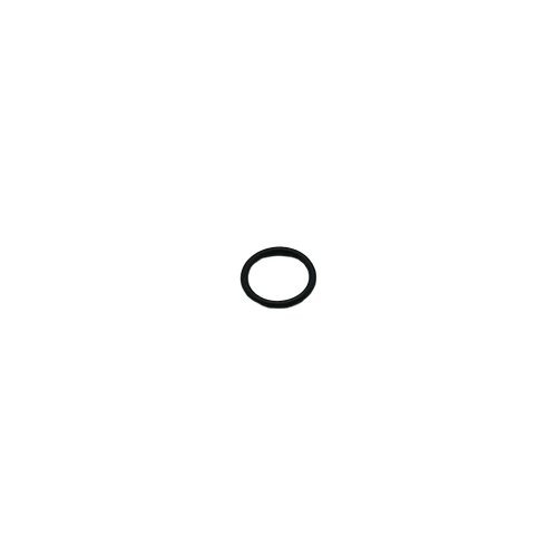 06037 Domino O-Ring 