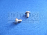 100319 Videojet Screw