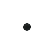 Diaphragm NRV Disk