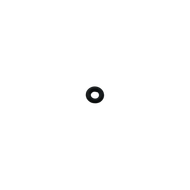 202097 Videojet O-Ring