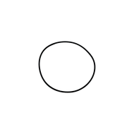 205770 Videojet O-Ring