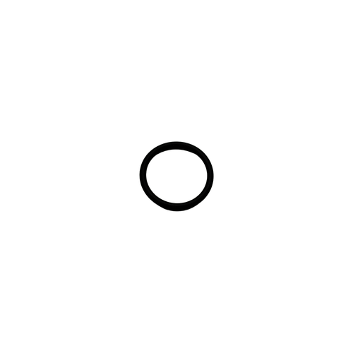 205816 Videojet O-Ring