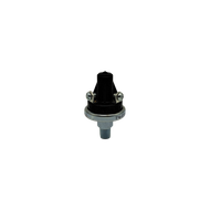 SP204447 Videojet Pressure Switch