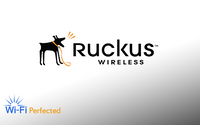 Ruckus Spares of PoE Adapter (10/100/1000 Mbps) with US power adapter, 902-0162-US00