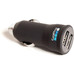  GoPro Auto Charger with Dual USB Ports