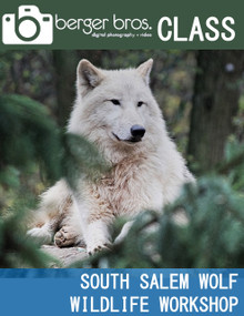 07/09/23 - South Salem Wolf Wildlife Workshop