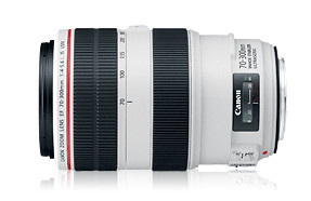 Canon EF 70-300 f/4-5.6L IS Usm