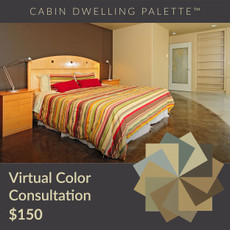 Color in Space Cabin Palette Virtual Consultation for $150