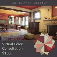 Color in Space Root Chakra Palette Virtual Consultation for $150