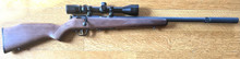 Savage Bolt-Action Rifle, Suppressed  in .17 HMR  - 50 Rounds Included