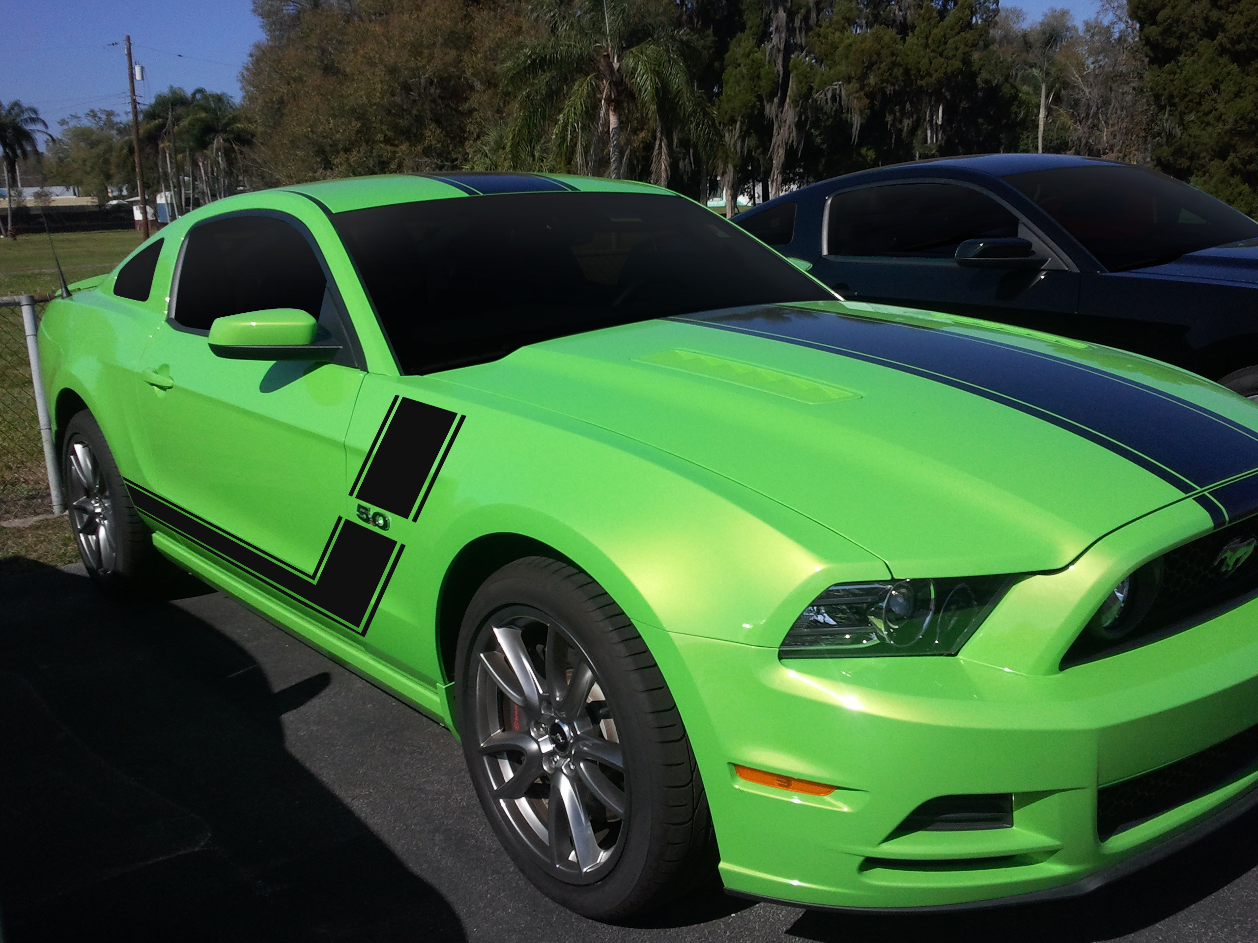 2013-mustang-black-carbon-stripes.jpg