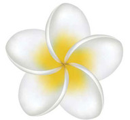 Yellow Plumeria - Decal