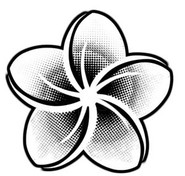 Black & White Plumeria - Decal