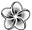 Black & White Plumeria - Decal
