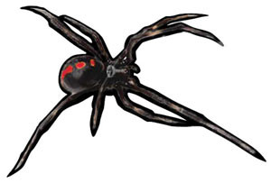 Black Widow - Decal
