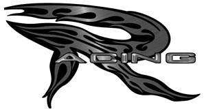 Racing Flame - Decal