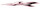 1216  Eluder - red