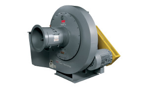 RotoClone® W