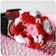 Be Mine Collar Flower for Dogs