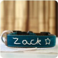 Zack' Personalized Dog Collar
