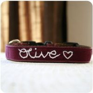 Olive' Personalized Dog Collar