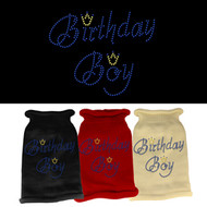 Birthday Boy Rhinestone Dog Sweater (Multiple Colors)