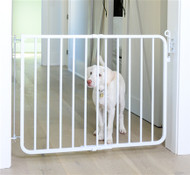 Auto Lock Dog Gate