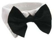 Black Bow Tie Dog Collar