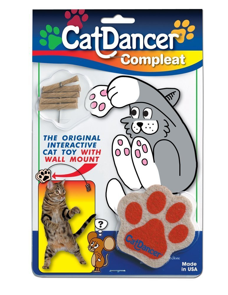 cat dancer