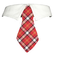 Richie Shirt Dog Collar Tie