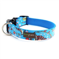 Bloom Laminated Cotton Dog Collars and Leashes