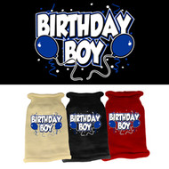 Birthday Boy Knit Sweater (Various Colors)