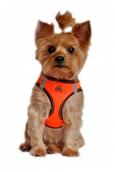 Iridescent Orange Top Stitch American River Choke Free Dog Harness