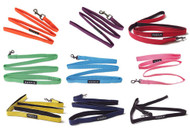 Two Tone Lead for Dogs