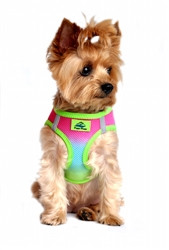 Rainbow Ombre American River Choke Free Dog Harness