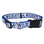 Kentucky Wildcats Dog Collar