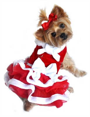 dog christmas dress