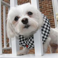 Puppy Bumper Black & White Checkers
