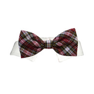 Jeremy Shirt Collar